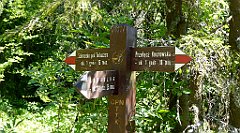 0163_TZ60_P1120102_cr