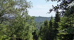 0164_TZ60_P1120103_cr