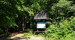 0166_TZ60_P1120105_cr