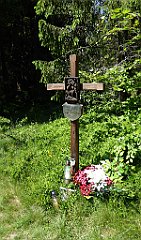 0167_TZ60_P1120106_cr