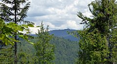 0210_TZ60_P1120130_cr