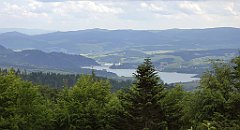 0287a_TZ60_P1120181_cr