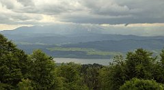 0295_TZ60_P1120187_cr