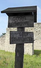 0038_TZ60_P1120244_cr