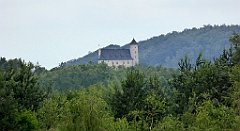 0220_TZ60_P1120332_cr