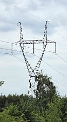 0310_TZ60_P1120337_cr