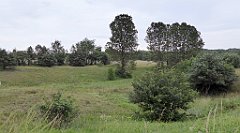 0401_TZ60_P1120398_cr