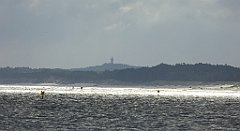 0107_TZ60_P1120479_cr