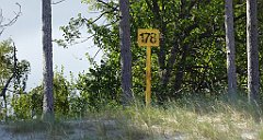 0243_TZ60_P1120581_cr