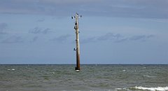 0297_TZ60_P1120629_cr