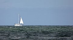 0401_TZ60_P1120706_cr