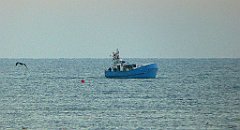 0038_TZ60_P1120755_cr