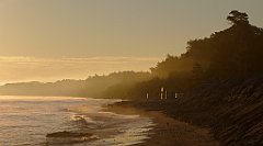 0083a_3D_P1090569_cr