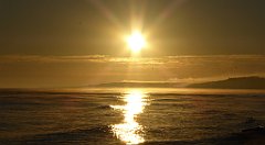 0091_TZ60_P1120786_cr