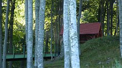 0211a_TZ60_P1120873_cr