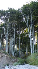 0213_TZ60_P1120871_cr