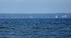 0269_TZ60_P1120910_cr