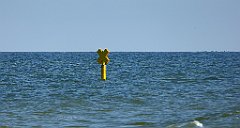 0317_TZ60_P1120954_cr