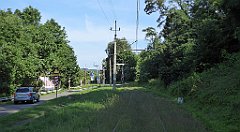 121_TZ60_P1130020_cr