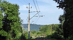 123_TZ60_P1130022_cr