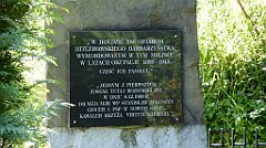 155a_TZ60_P1130053_cr