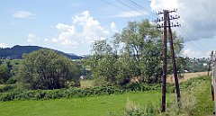 100_TZ60_P1130130_cr