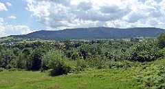 190_TZ60_P1130208_cr