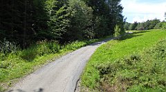 231_TZ60_P1130237_cr