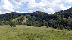 264_TZ60_P1130256_cr