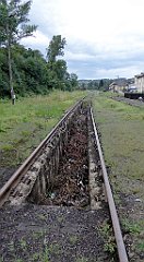 392_TZ60_P1130362_cr