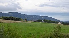 441_TZ60_P1130412_cr