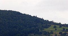 453_TZ60_P1130427_cr