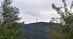 459_TZ60_P1130433_cr