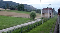 474_TZ60_P1130451_cr