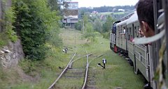 483_TZ60_P1130460_cr