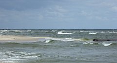 0387_TZ60_P1130788_cr