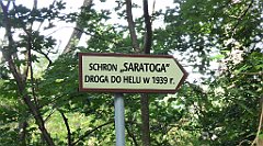 0511_TZ60_P1130864_cr