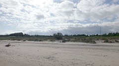 0223a_TZ_P1100529_cr