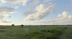 0013_TZ60_P1130886_cr