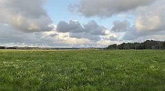 0018_TZ60_P1130889_cr