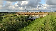 0043_TZ60_P1130904_cr