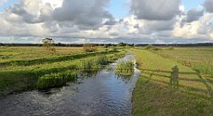 0045_TZ60_P1130906_cr