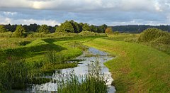 0046_TZ60_P1130907_cr