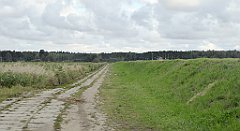 0071_TZ60_P1130917_cr