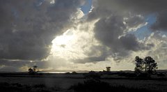 0081_TZ60_P1130927_cr