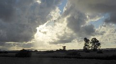 0083_TZ60_P1130929_cr