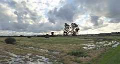 0089_TZ60_P1130931_cr