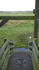 0104_TZ60_P1130940_cr