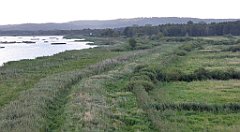 0137_TZ60_P1130979_cr