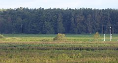 0140_TZ60_P1130982_cr